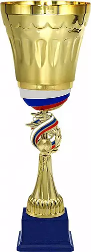 4223-470-100 Кубок Чемпион