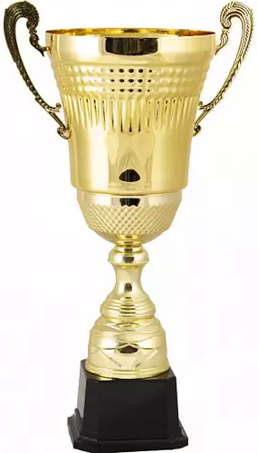 Кубок 2009C (53,5см) D-200