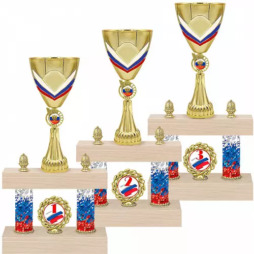 4570-440-332 Кубок Фрегат 3 место